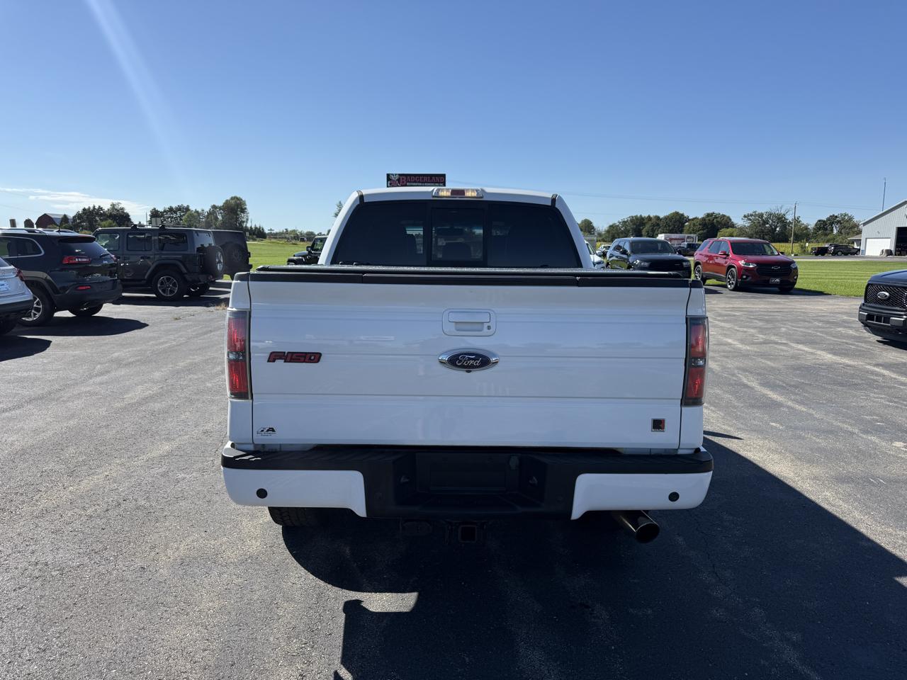 Ford F-150 4WD SuperCrew 145" Platinum 2014