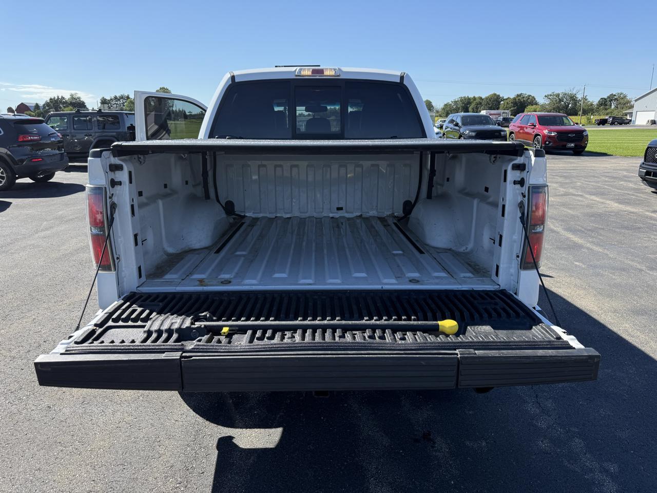 Ford F-150 4WD SuperCrew 145" Platinum 2014