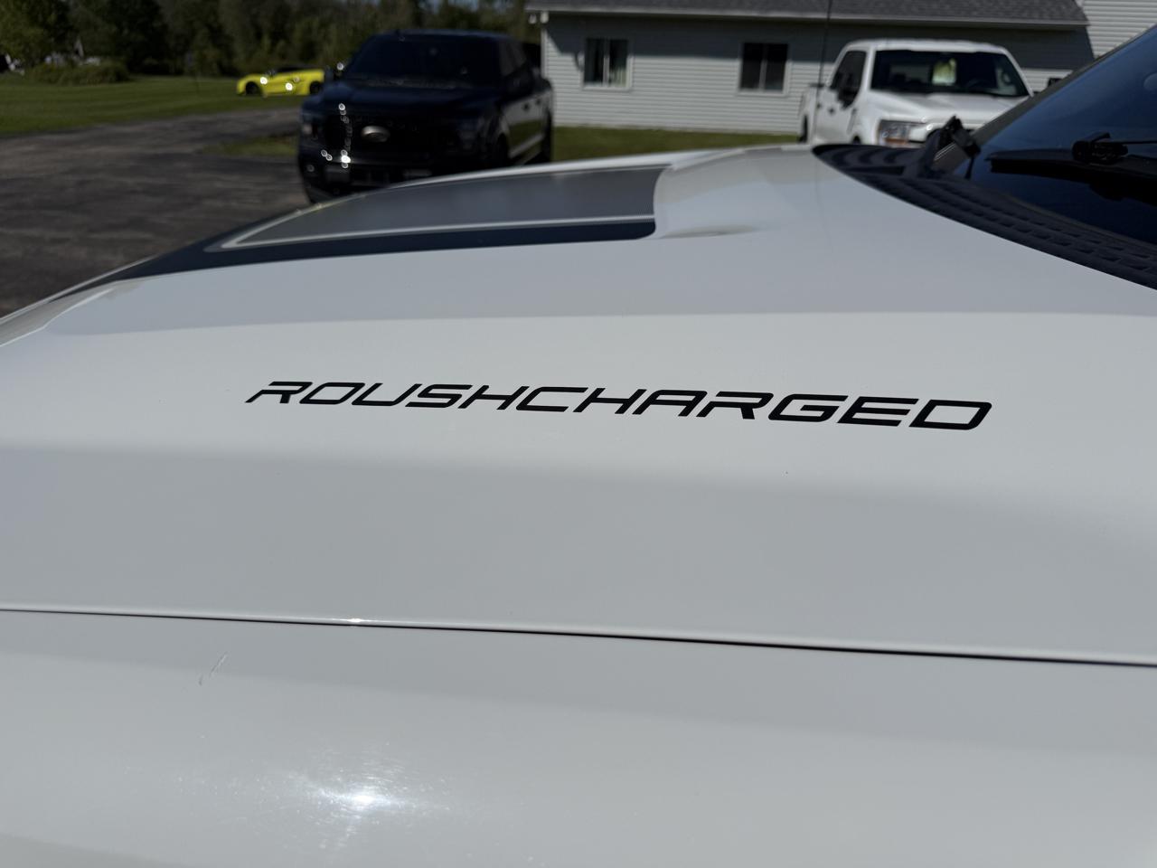 Ford F-150 4WD SuperCrew 145" Platinum 2014