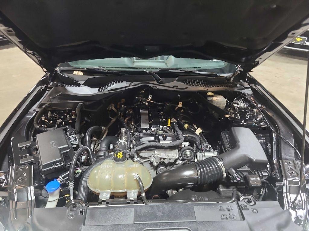 Ford Mustang EcoBoost Convertible 2021