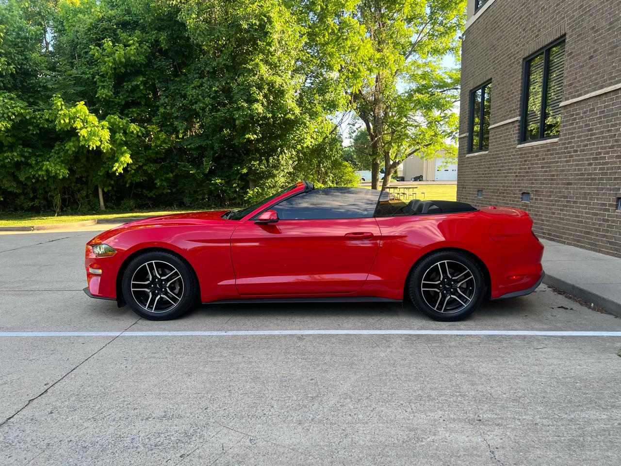 Ford Mustang EcoBoost Premium Convertible 2019