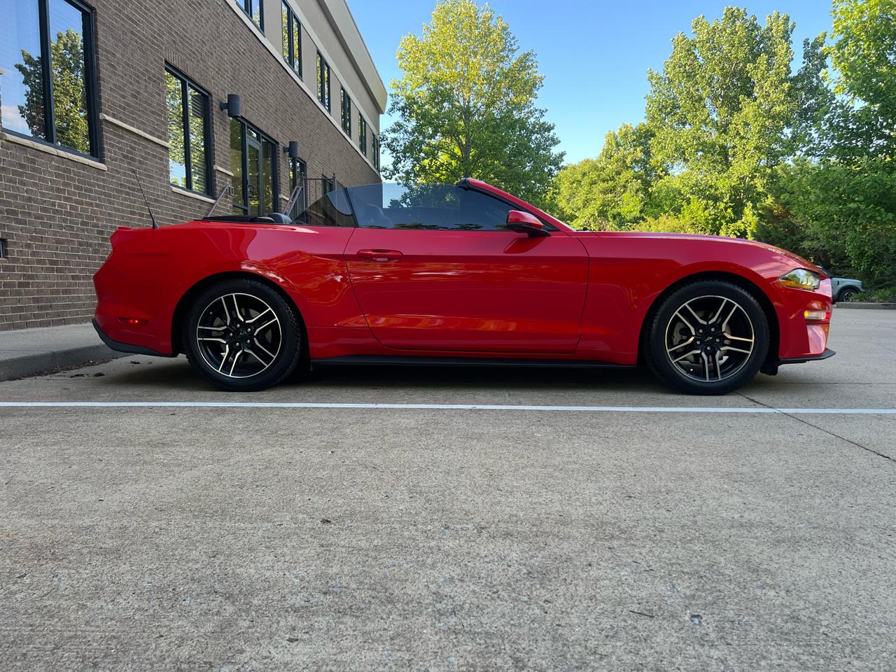 Ford Mustang EcoBoost Premium Convertible 2019