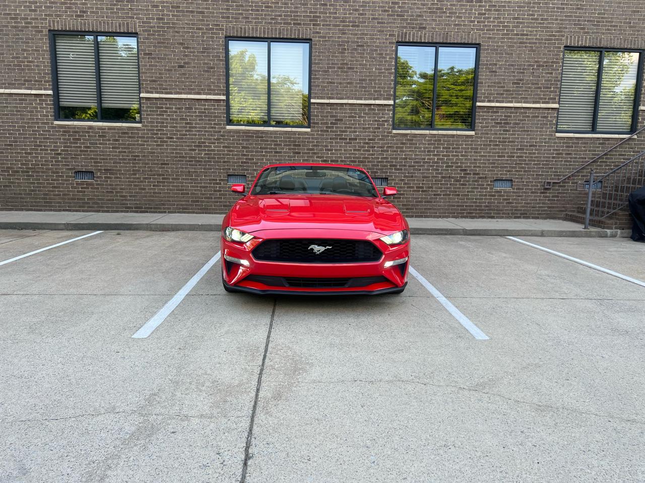 Ford Mustang EcoBoost Premium Convertible 2019