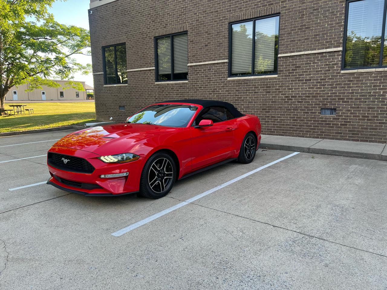 Ford Mustang EcoBoost Premium Convertible 2019