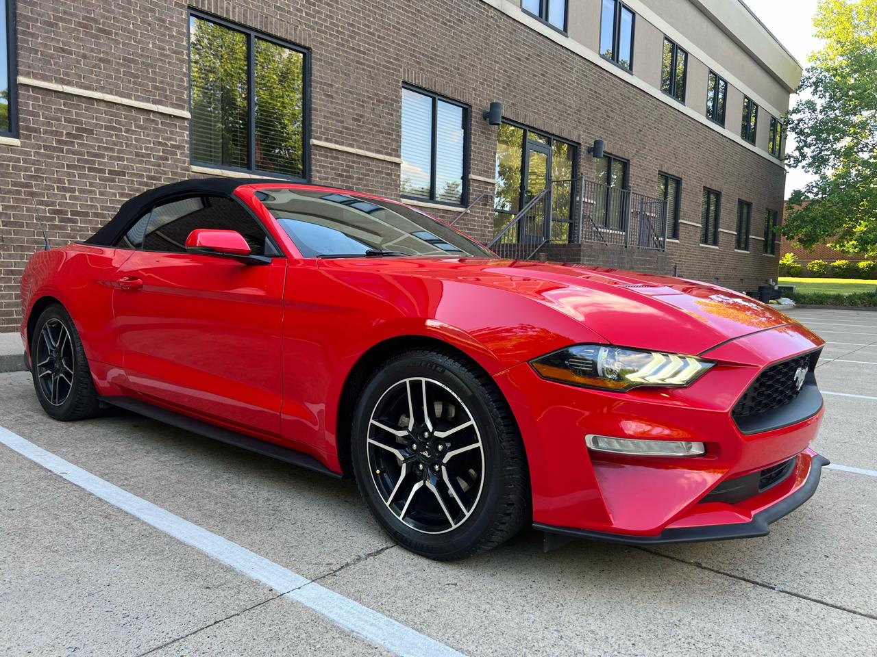 Ford Mustang EcoBoost Premium Convertible 2019