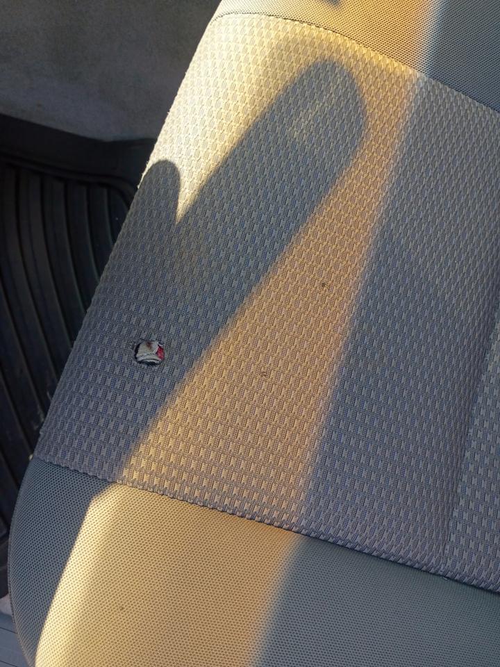 Toyota Tacoma Regular Cab 2WD 2006