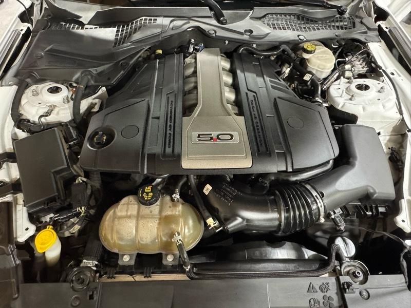 Ford Mustang GT Premium Coupe 2019