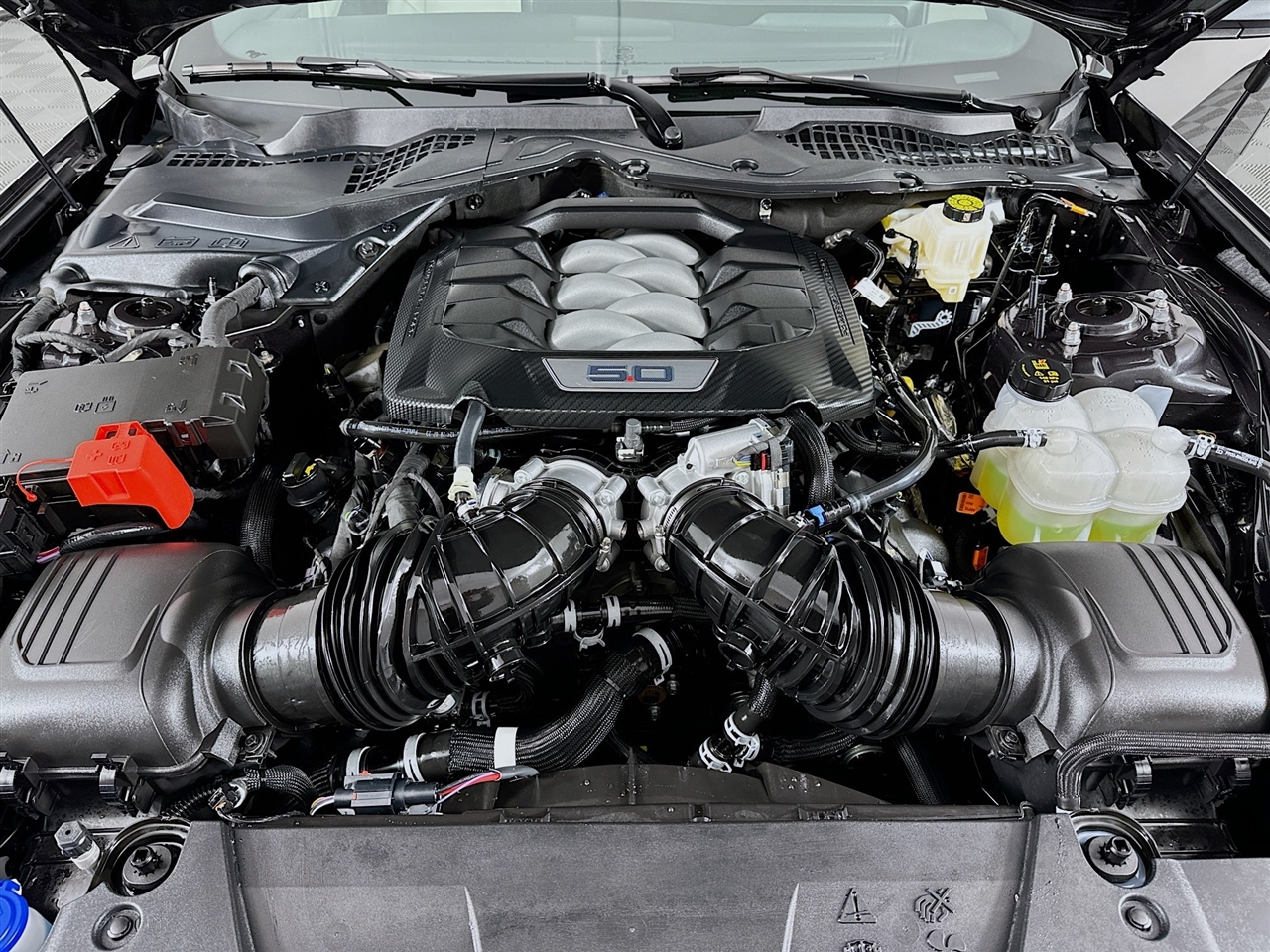 Ford Mustang GT Fastback 2024