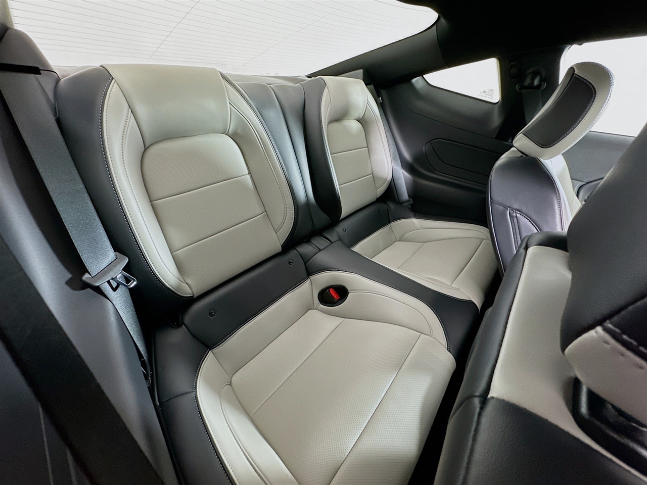 Ford Mustang GT Fastback 2024