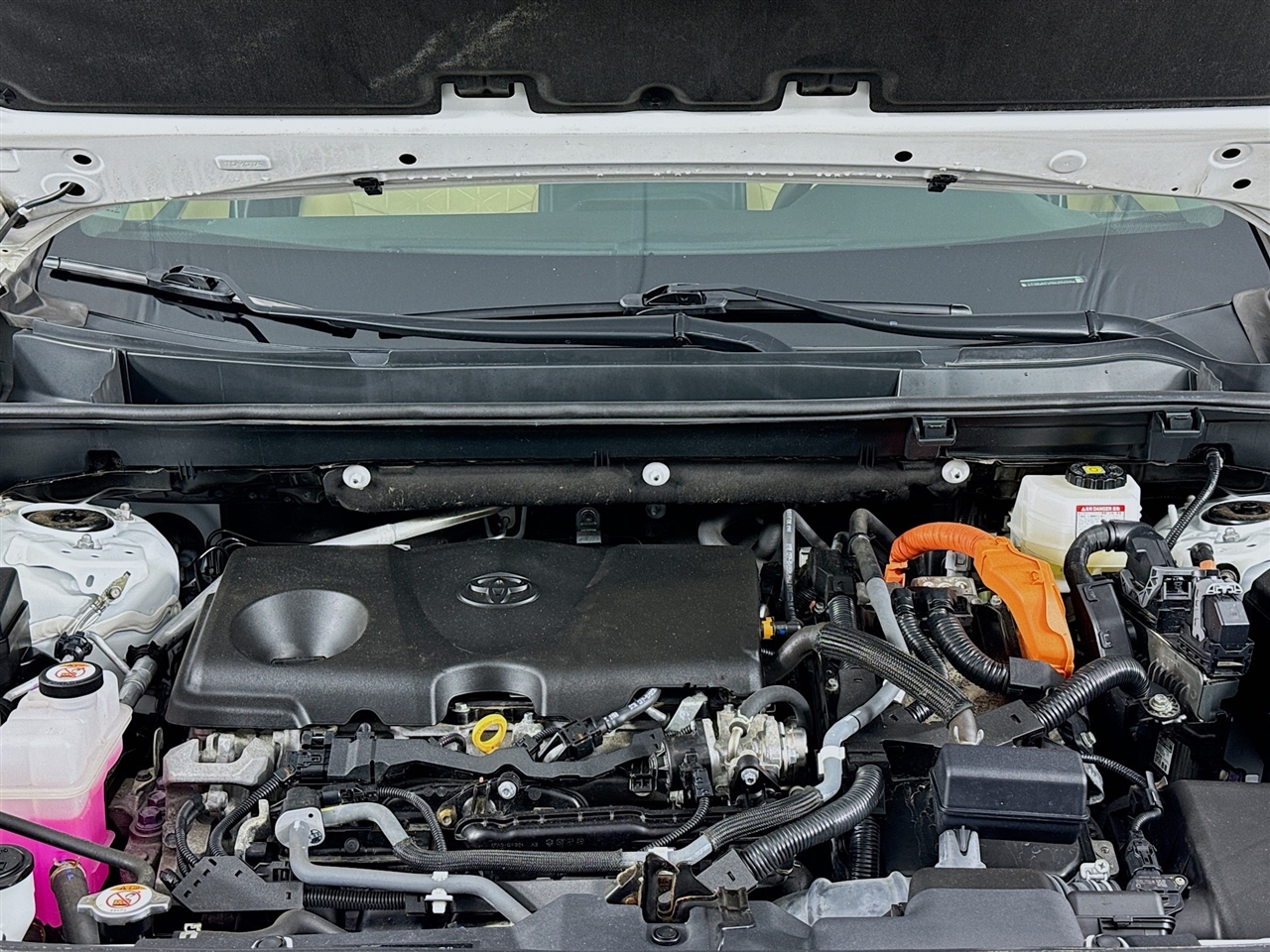 Toyota RAV4 Hybrid XLE AWD (Natl) 2022