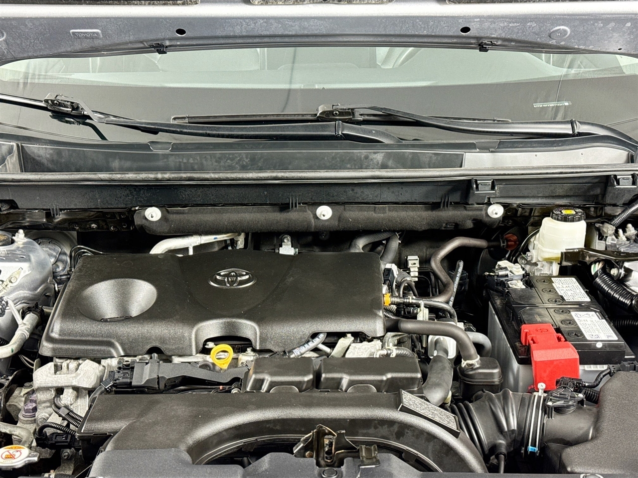 Toyota RAV4 LE AWD (Natl) 2021