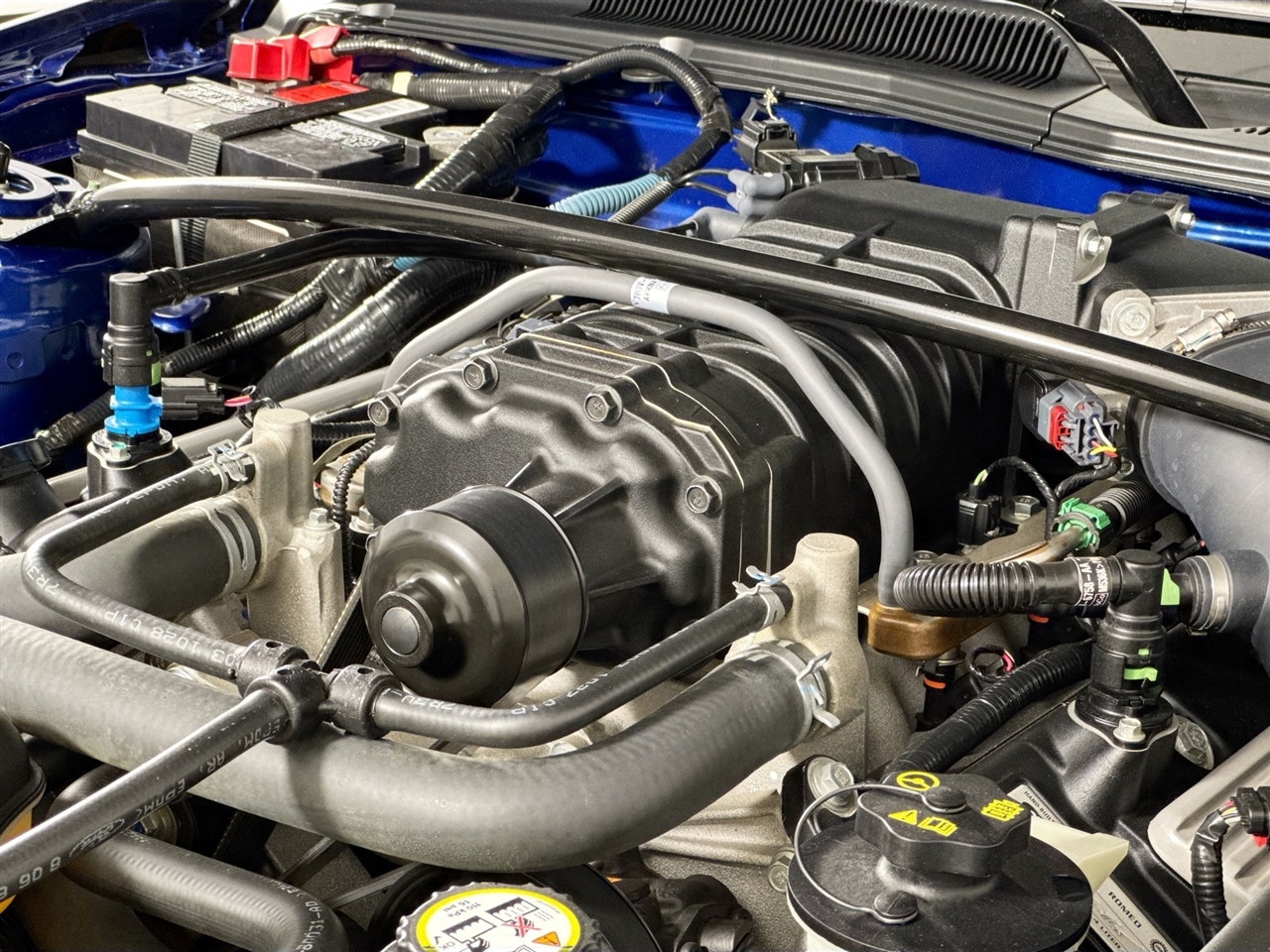 Ford Mustang 2dr Cpe Shelby GT500 2008