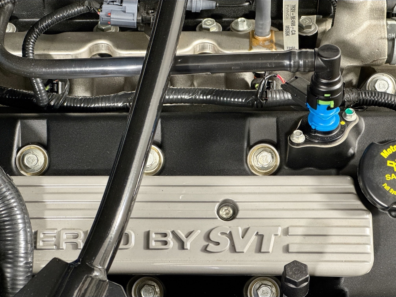 Ford Mustang 2dr Cpe Shelby GT500 2008