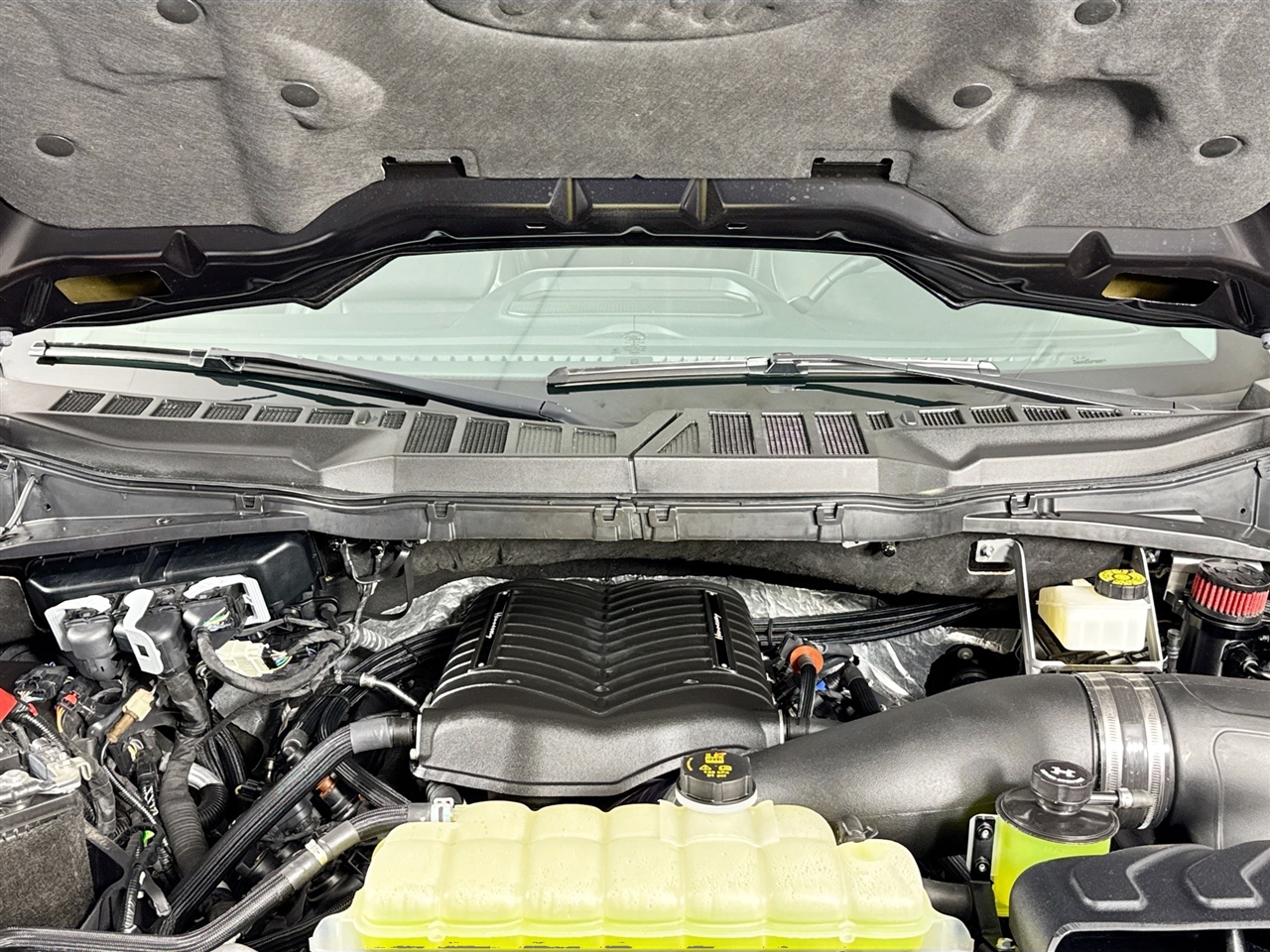 Ford F-150 XLT 4WD Reg Cab 8' Box 2023