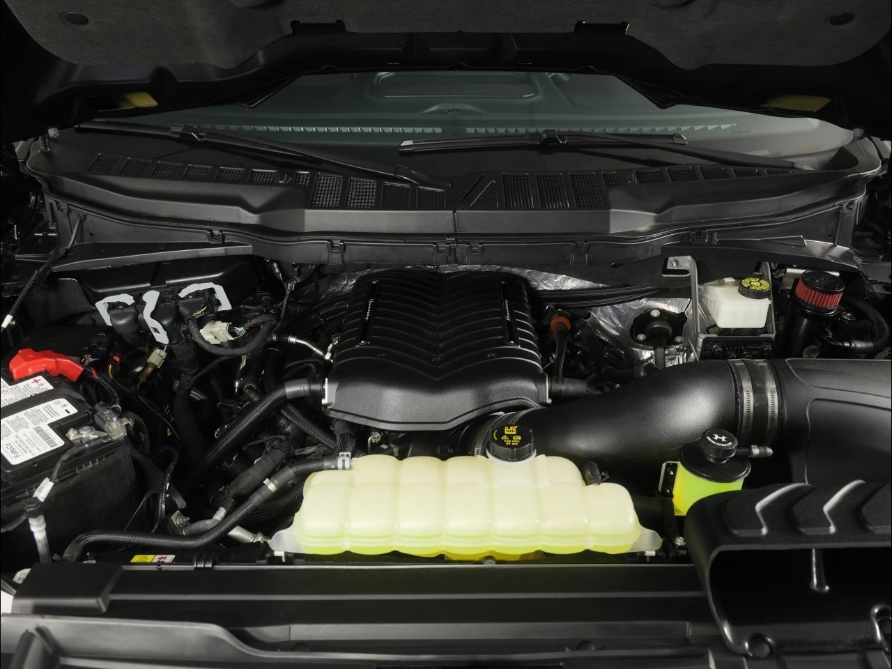 Ford F-150 XLT 4WD Reg Cab 8' Box 2023