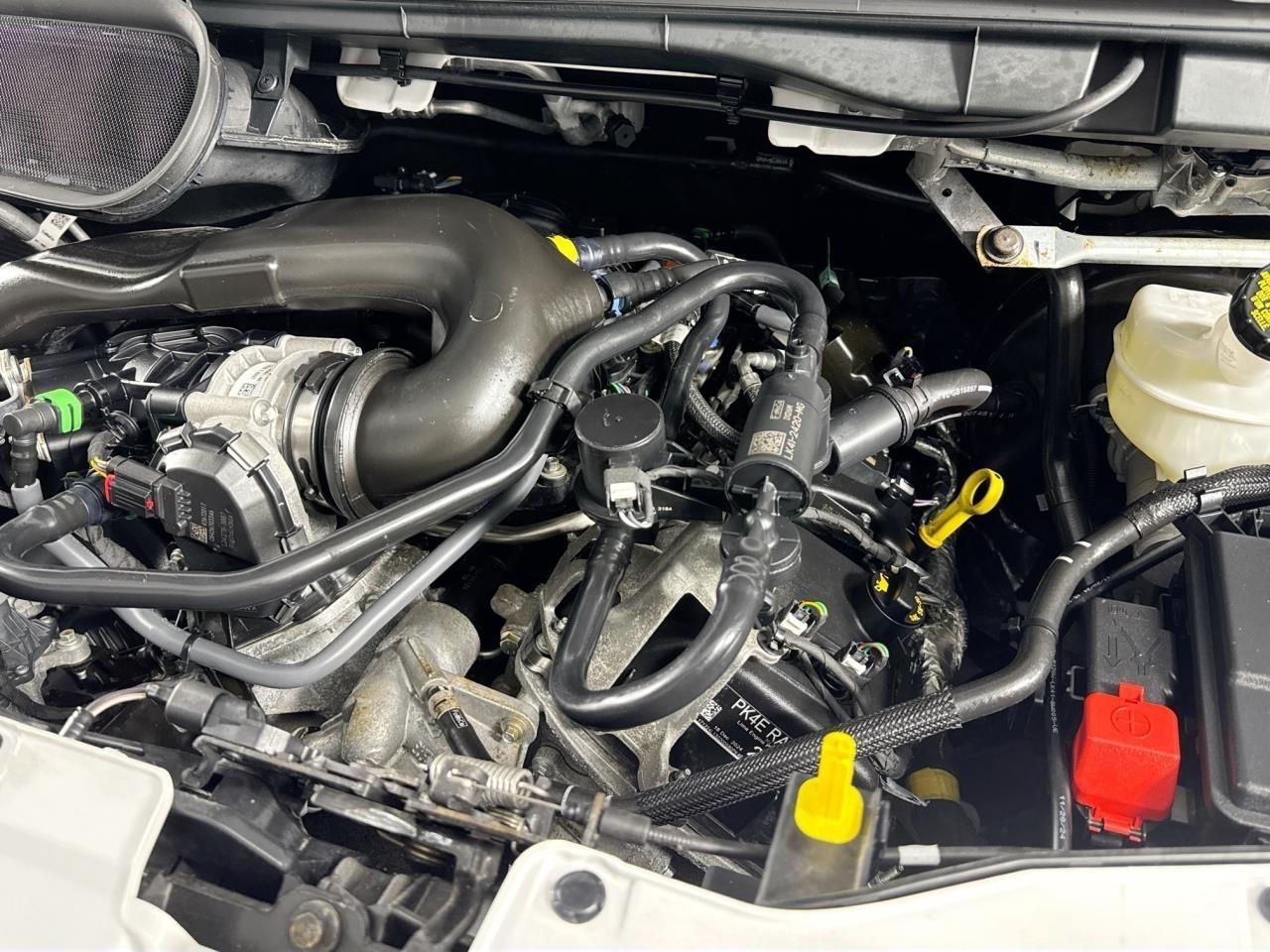 Ford Transit Cutaway T-350 RWD SRW 138" WB 9500 GVWR 2024