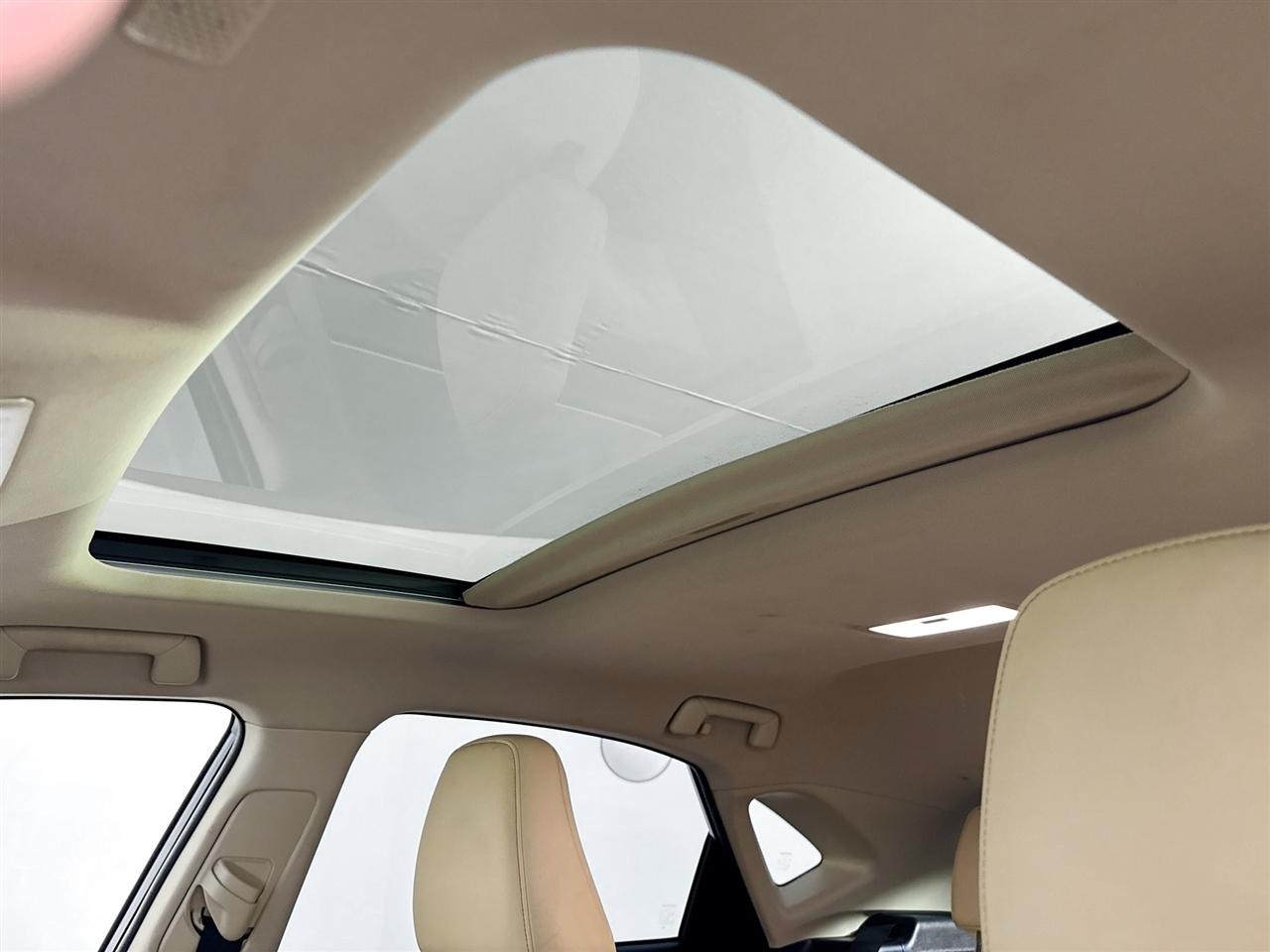 Lexus NX NX 300 AWD 2019