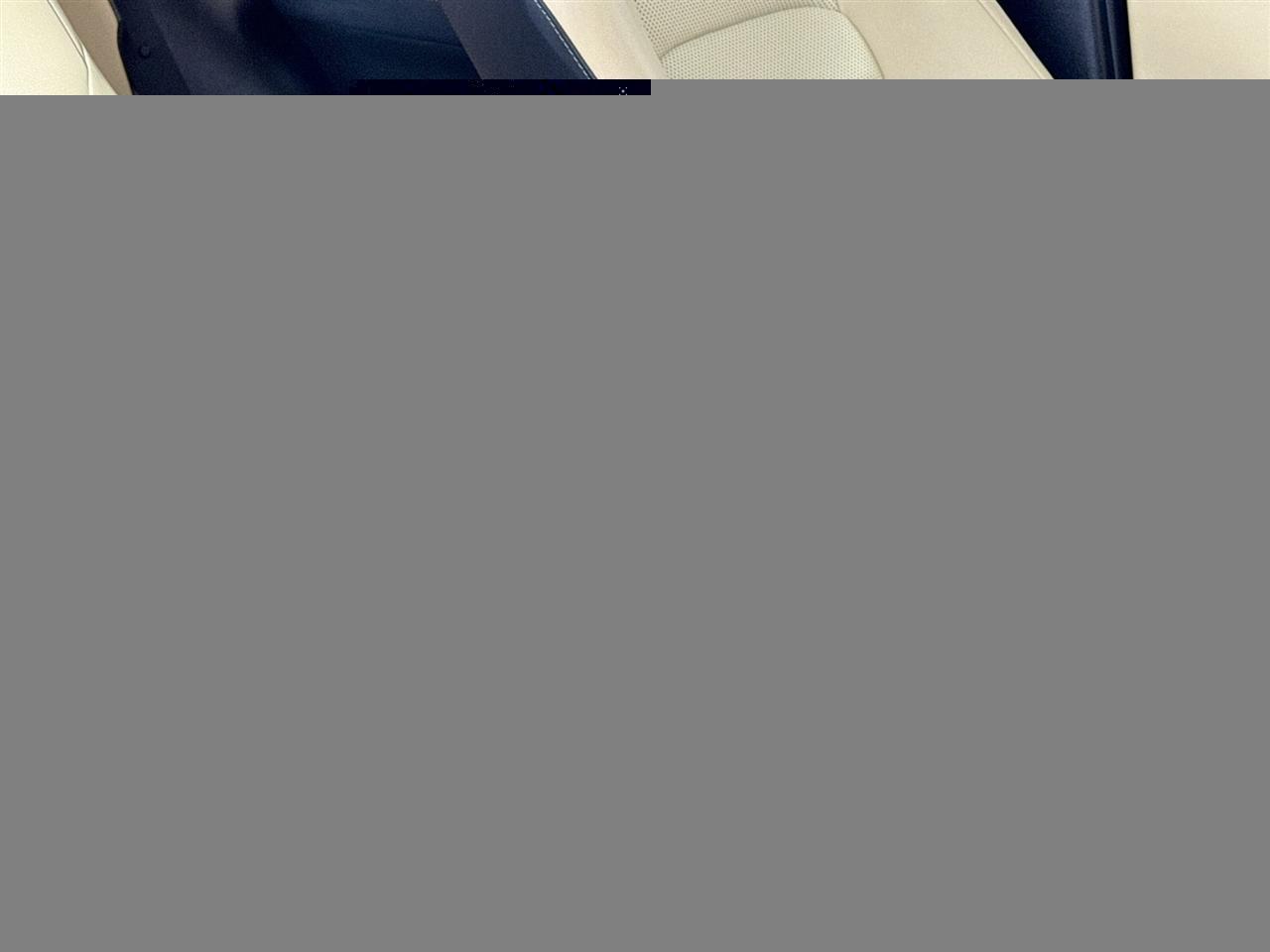 Lexus NX NX 300 AWD 2019