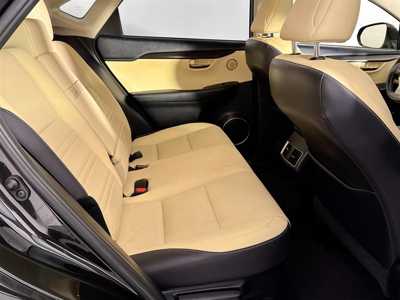 Lexus NX NX 300 AWD 2019