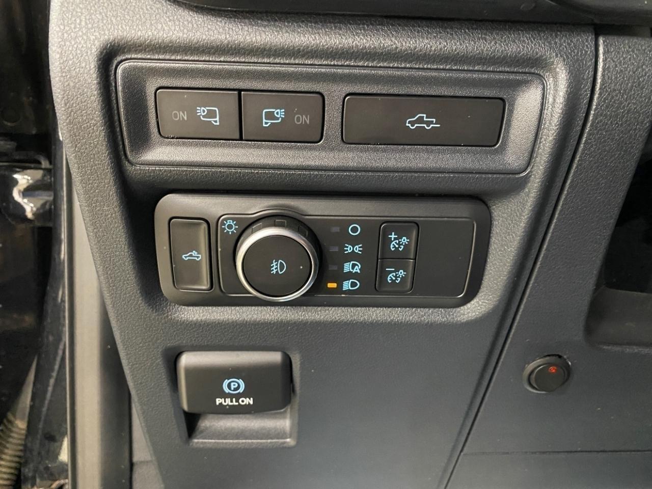 Ford F-150 XLT SuperCrew 5.5-ft. Bed 4WD 2021