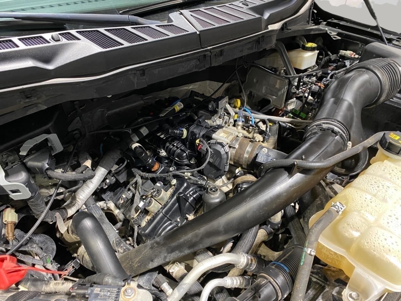 Ford F-150 XLT SuperCrew 5.5-ft. Bed 4WD 2021