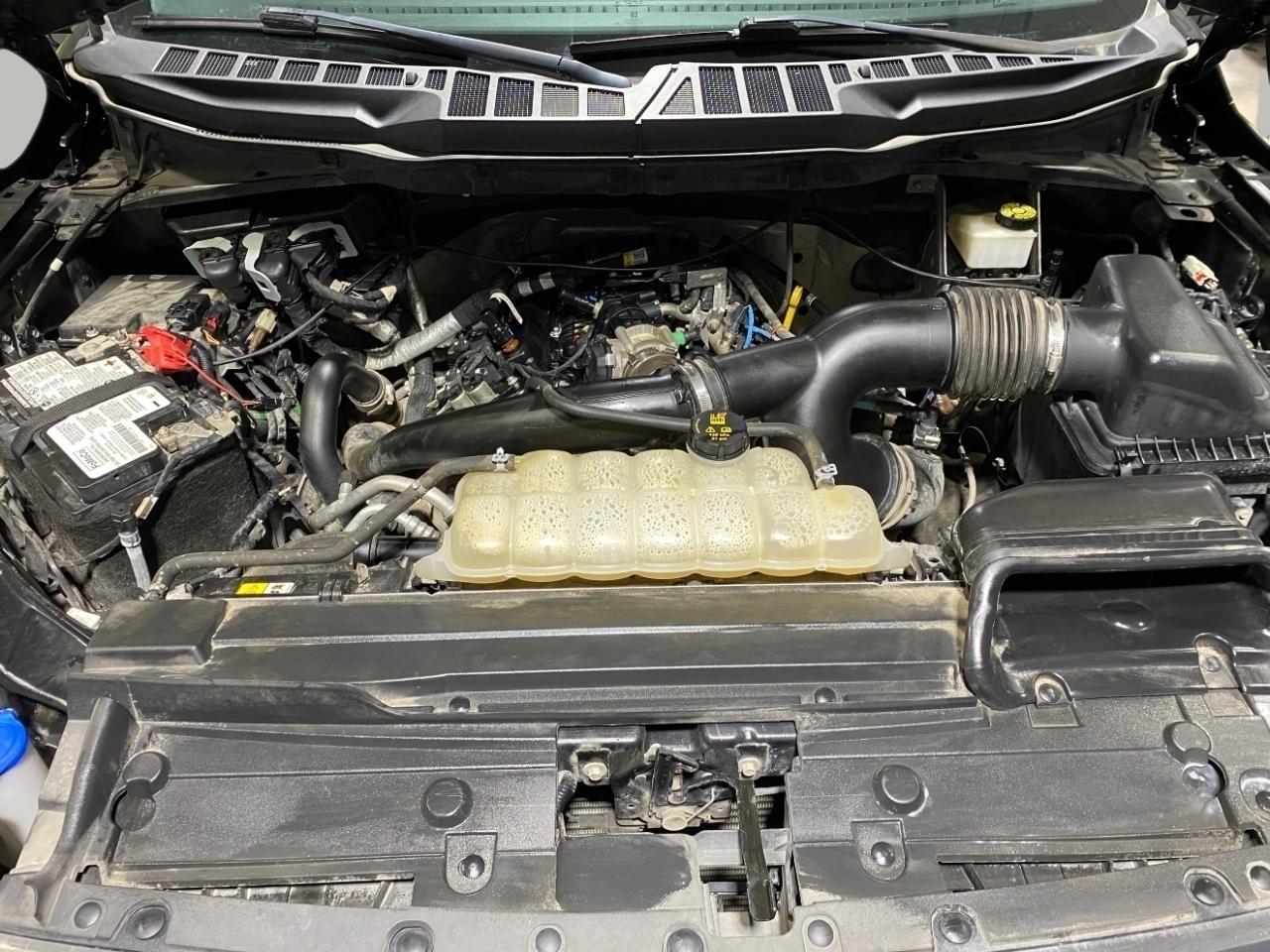 Ford F-150 XLT SuperCrew 5.5-ft. Bed 4WD 2021