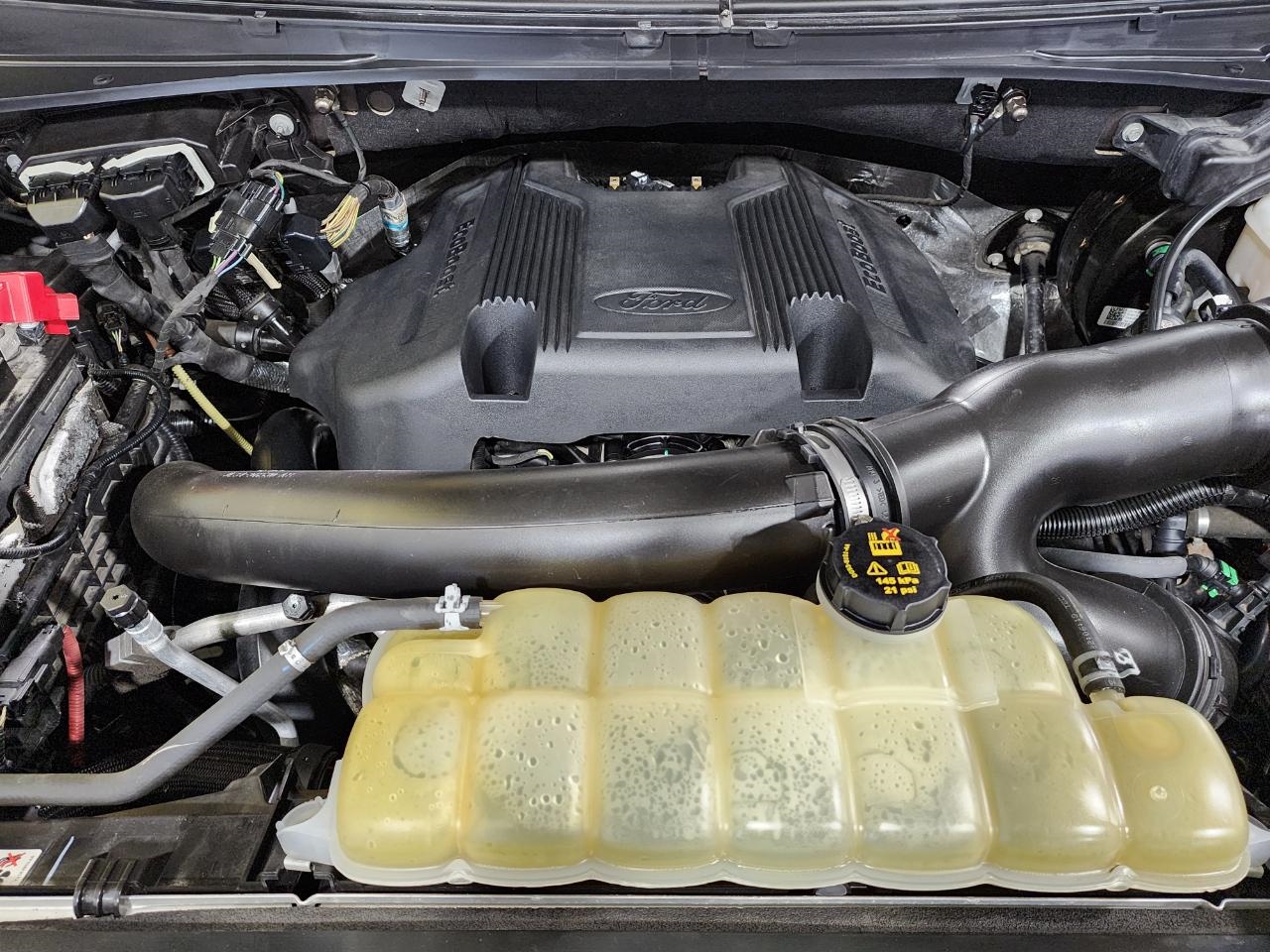 Ford Expedition  2019