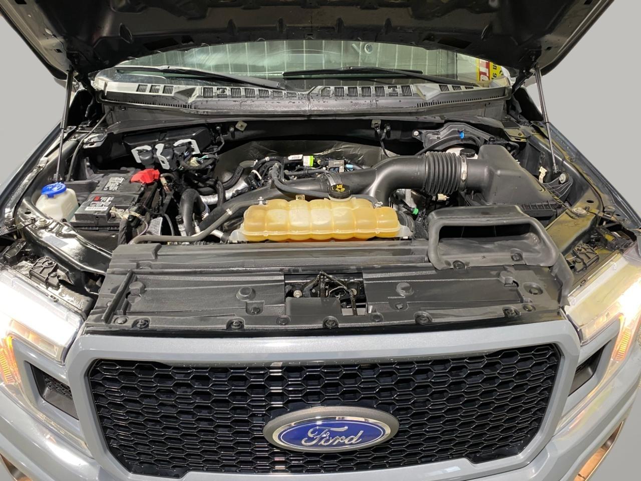 Ford F-150 XL SuperCrew Short Bed 4WD 2019