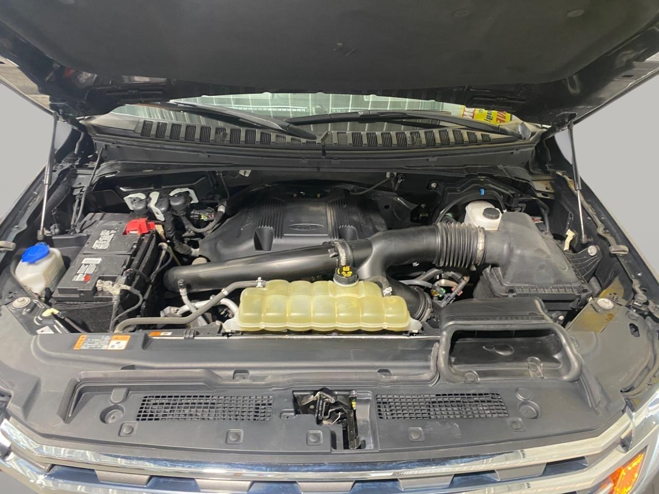 Ford Expedition XLT 4WD 2020