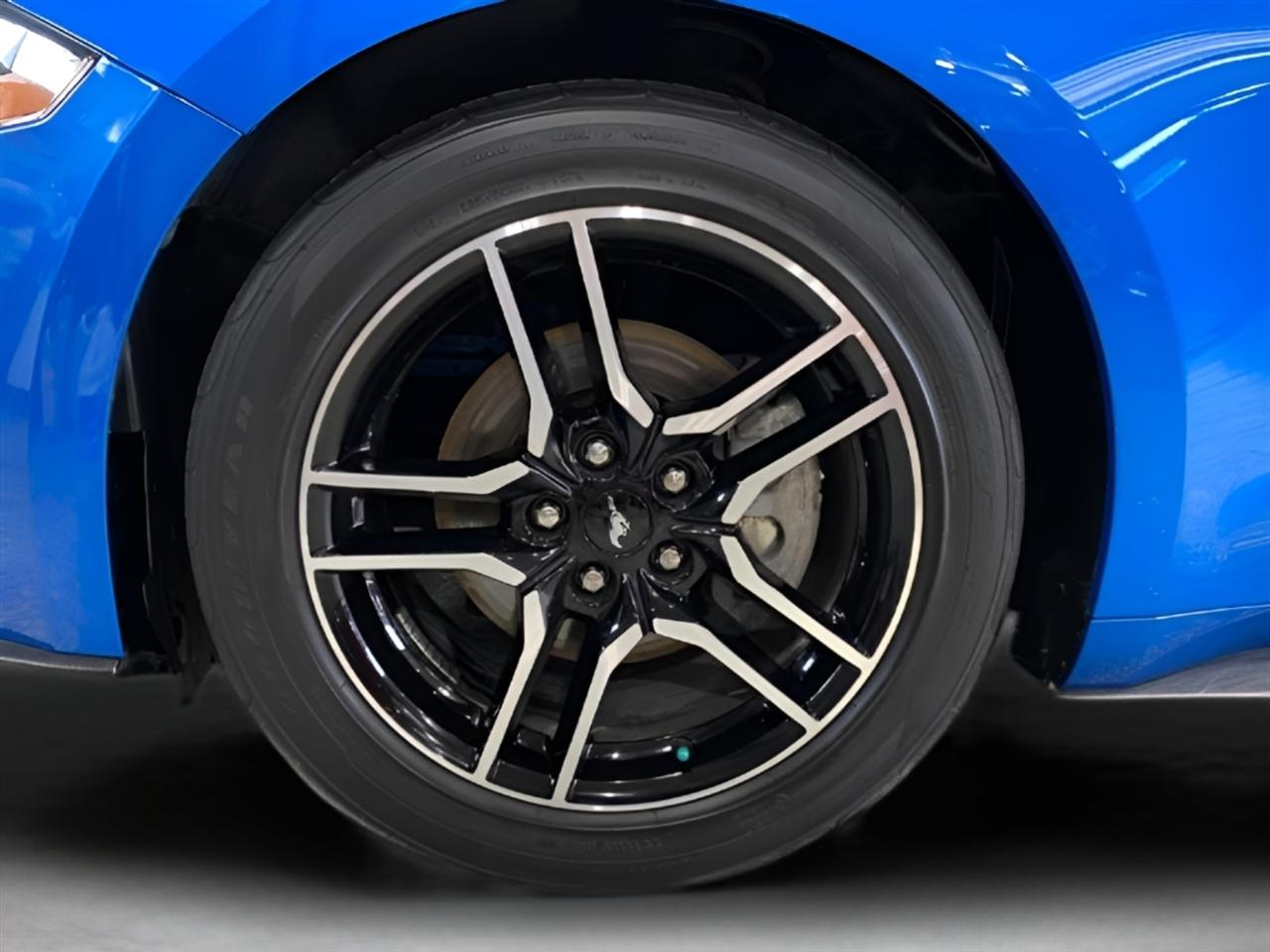 Ford Mustang EcoBoost Coupe 2019