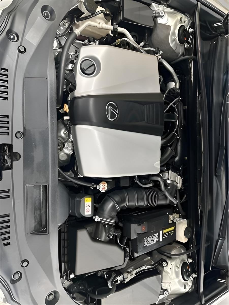 Lexus ES 350 Luxury 2019
