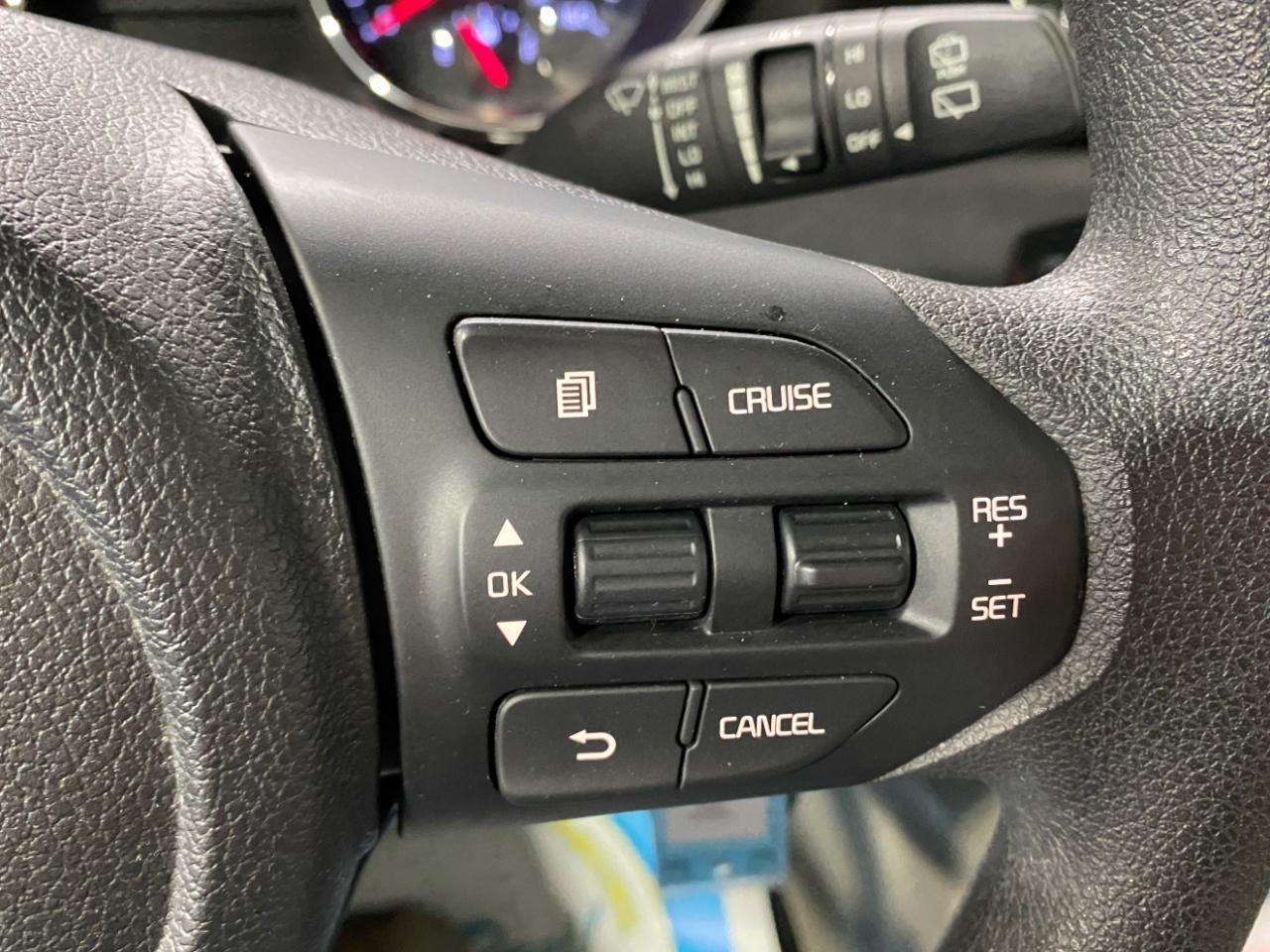 Kia Sedona LX 2019