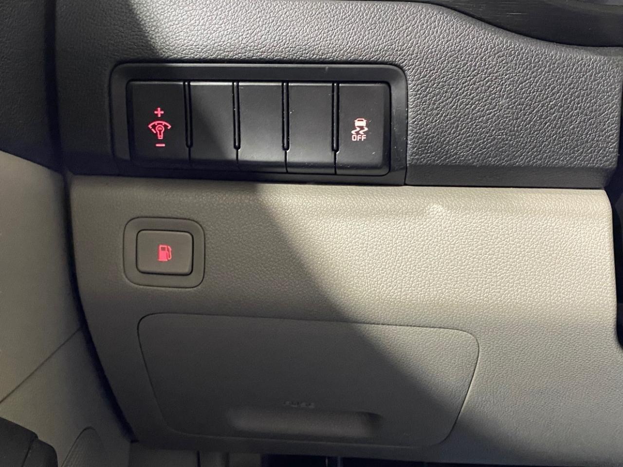 Kia Sedona LX 2019