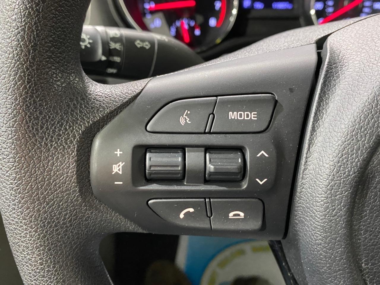 Kia Sedona LX 2019