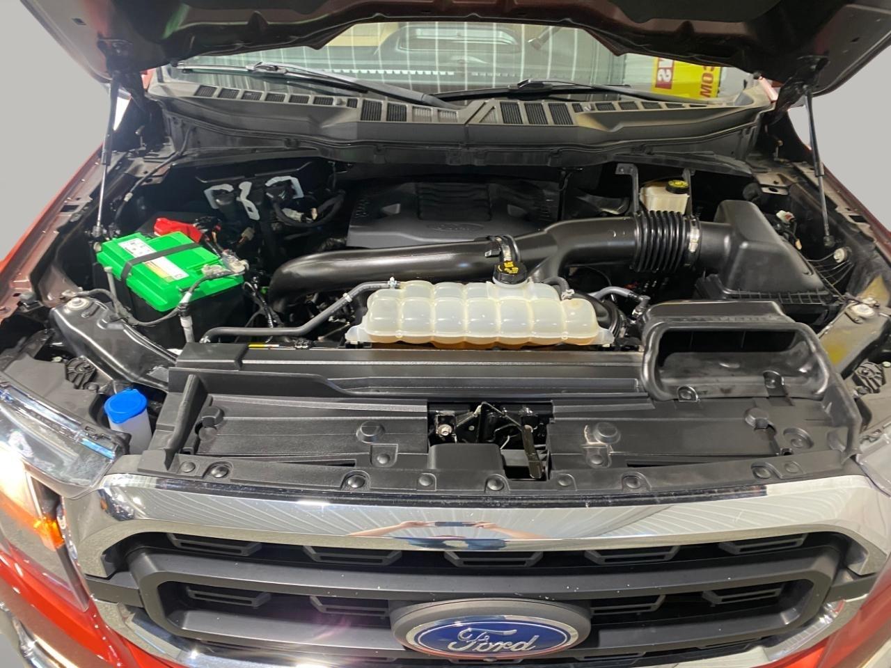 Ford F-150 SuperCrew 139" XLT 4WD 2023