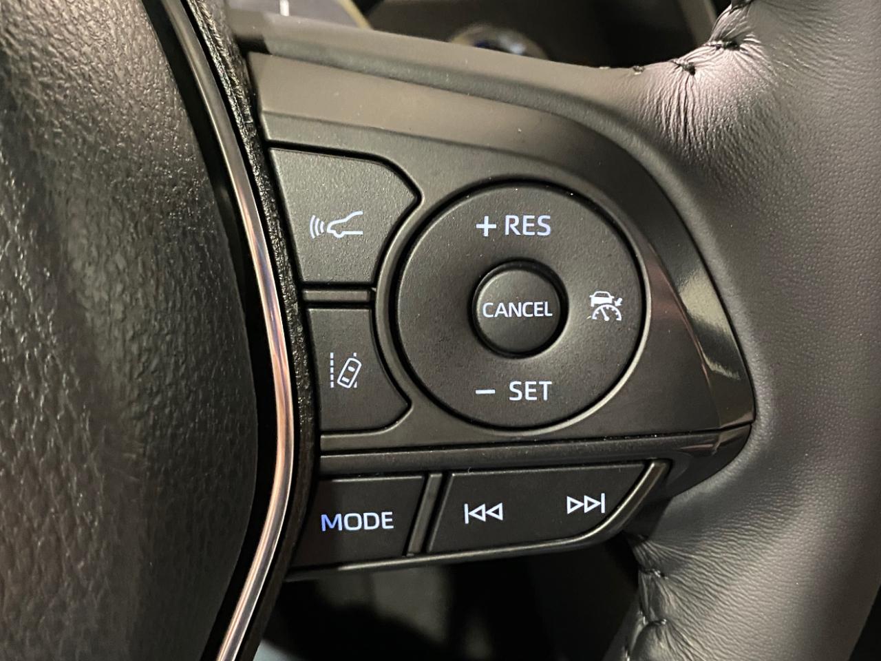Toyota Camry XLE 2019