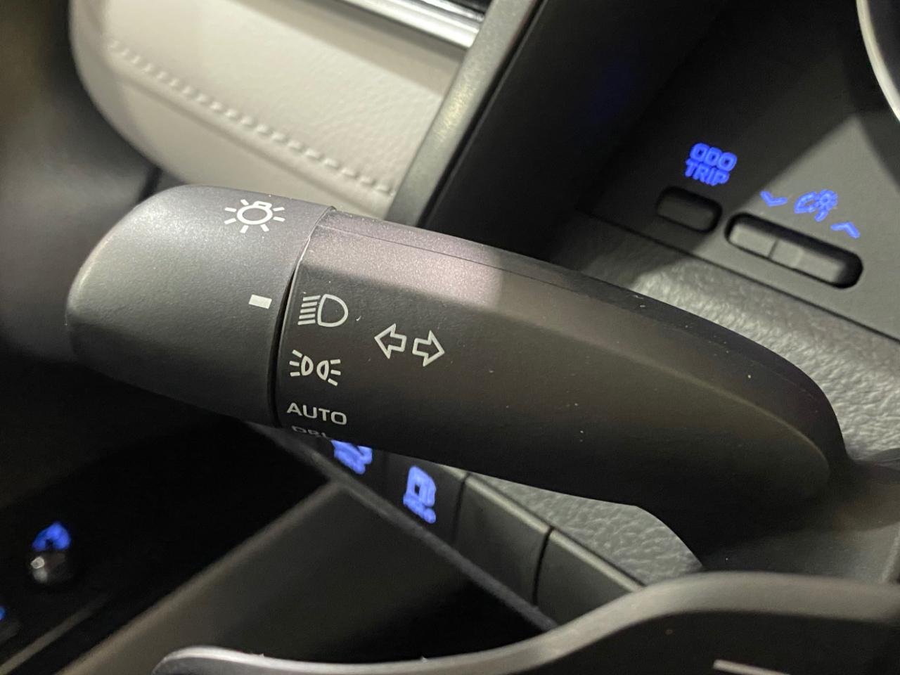 Toyota Camry XLE 2019