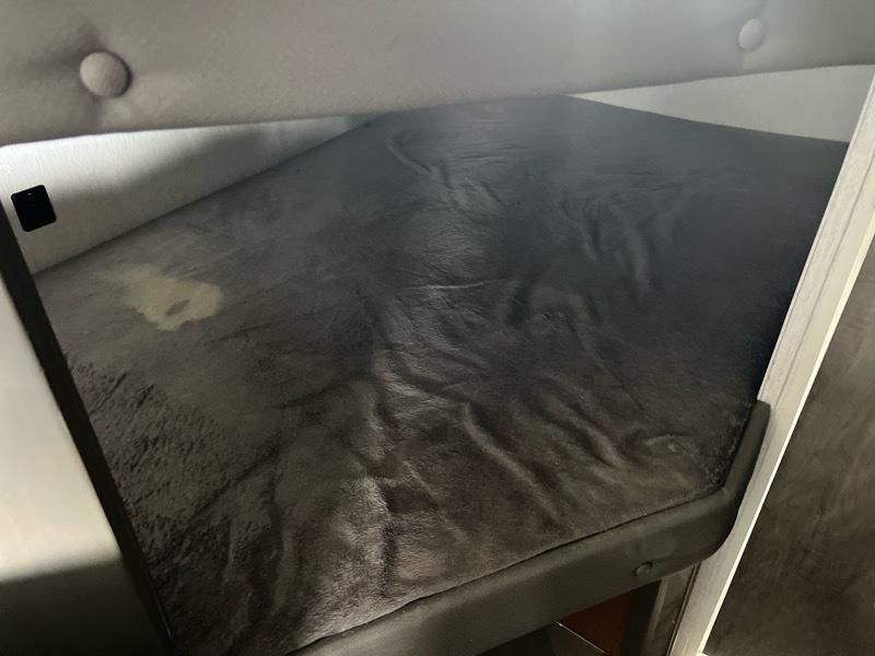 Forest River Wildwood  2022