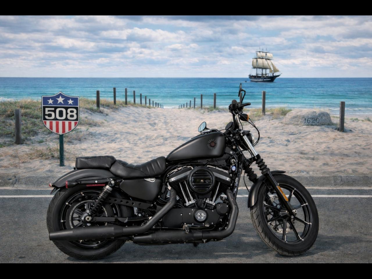 2019 Harley-Davidson XL883N IRON