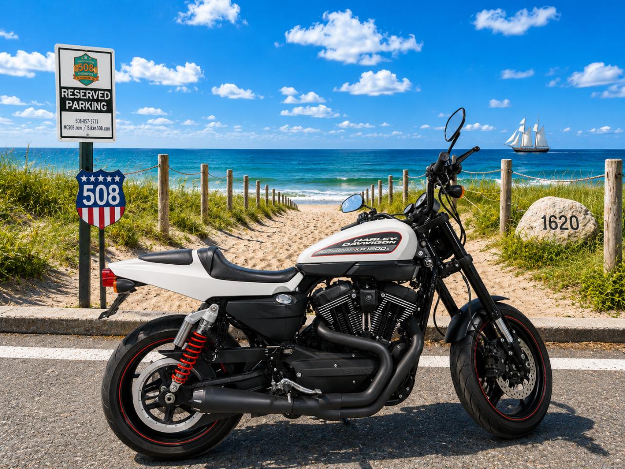 2011 Harley-Davidson XR1200X 