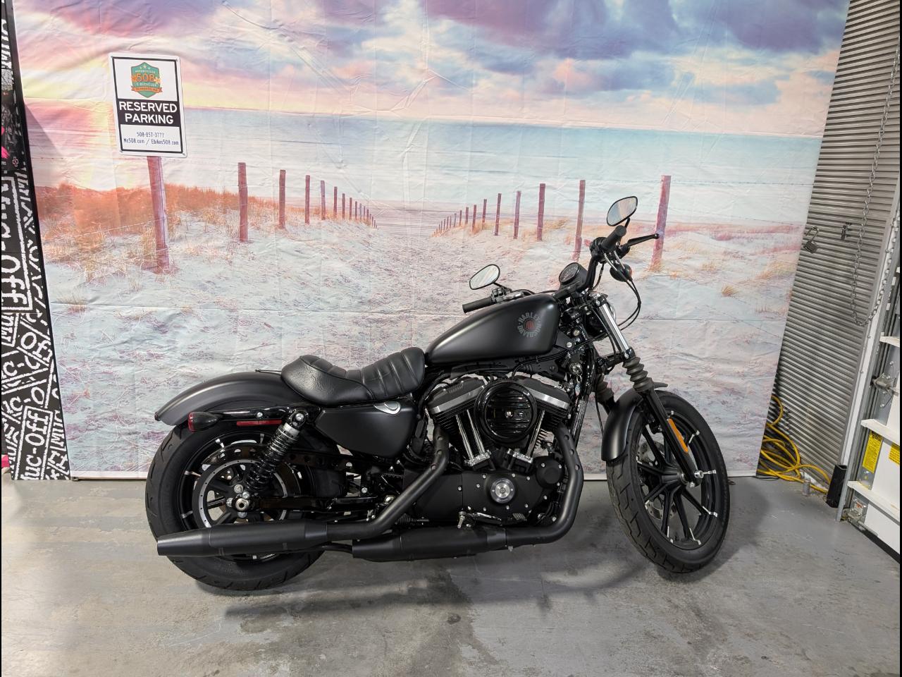 2019 Harley-Davidson Iron 883 XL883N