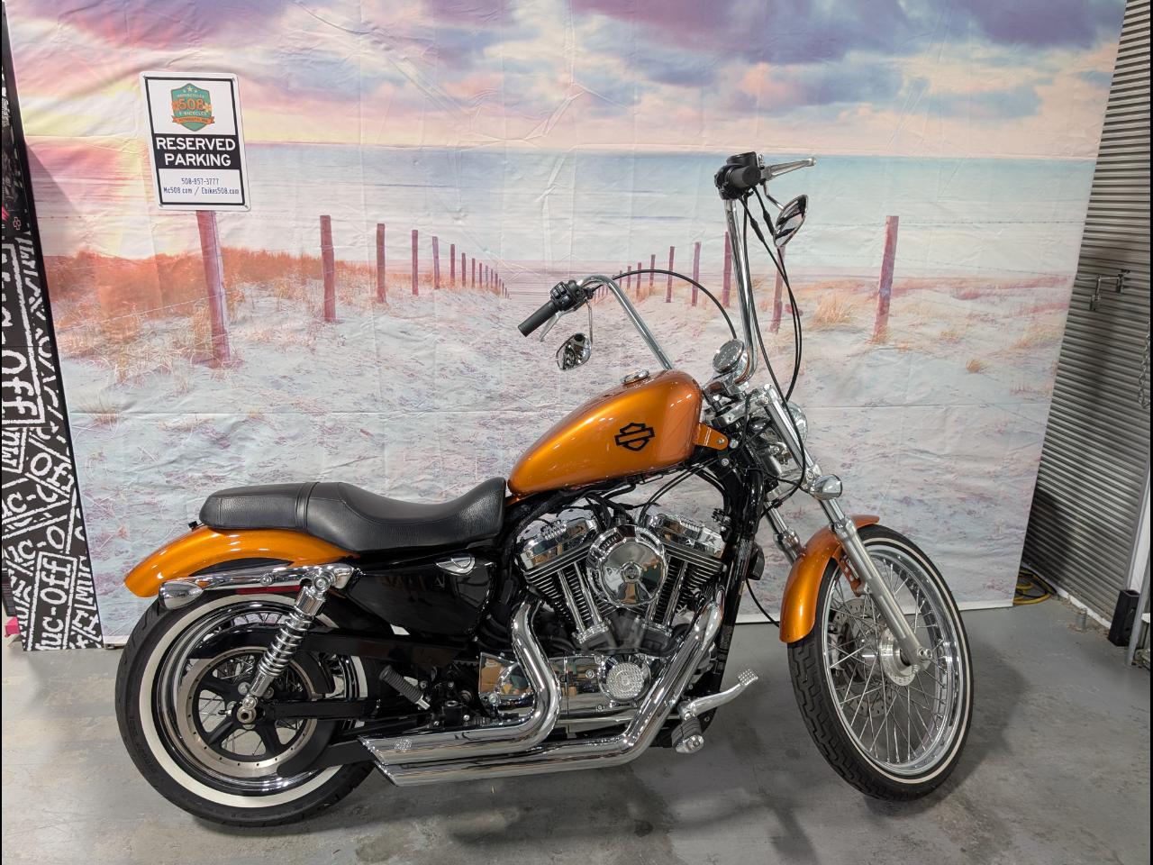 2014 Harley-Davidson XL 1200V SPORTSTER 72