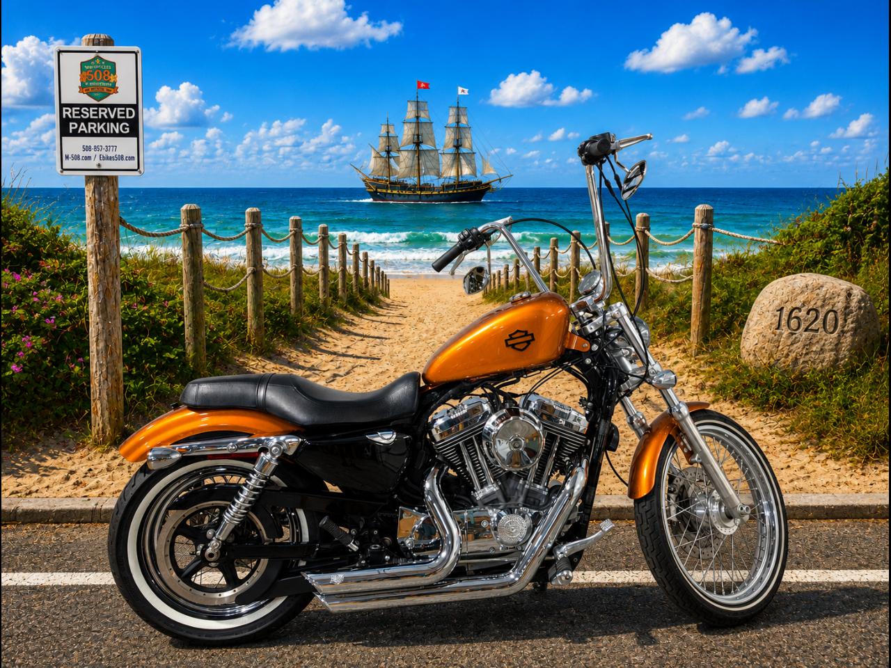 2014 Harley-Davidson XL 1200V SPORTSTER 72