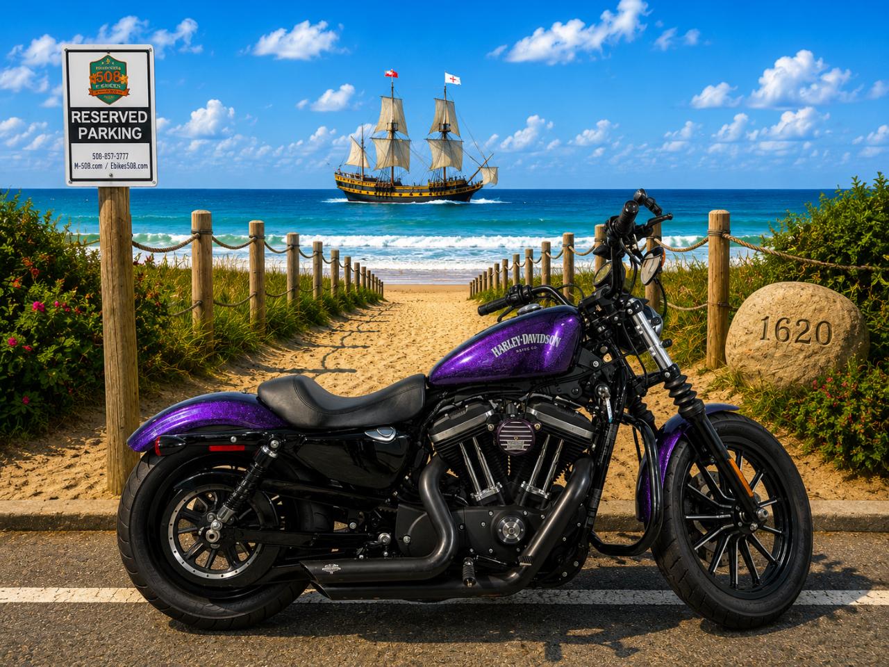 2014 Harley-Davidson Iron 883 XL883N