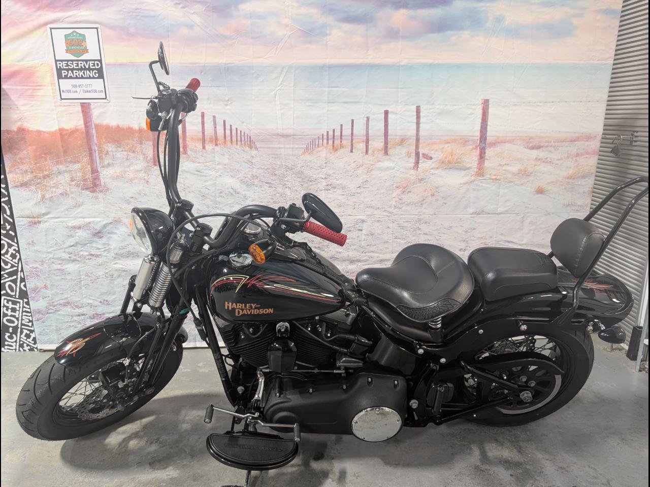 2008 Harley-Davidson FLSTSB Cross Bones