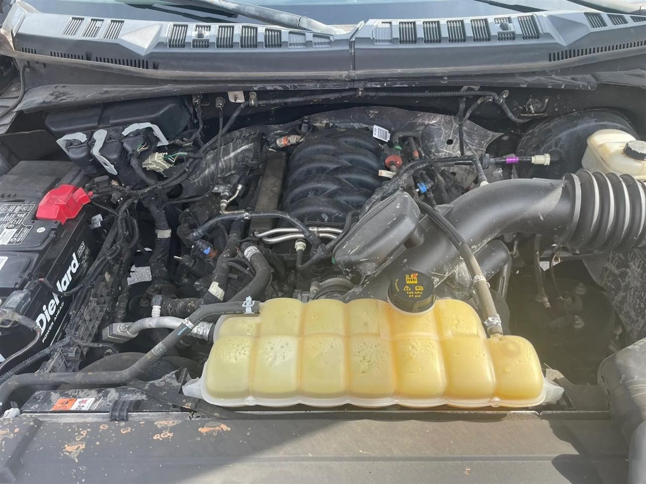 Ford F-150 XL SuperCab 8-ft. 2WD 2019