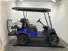 2023 Vivid EV Peak 4 