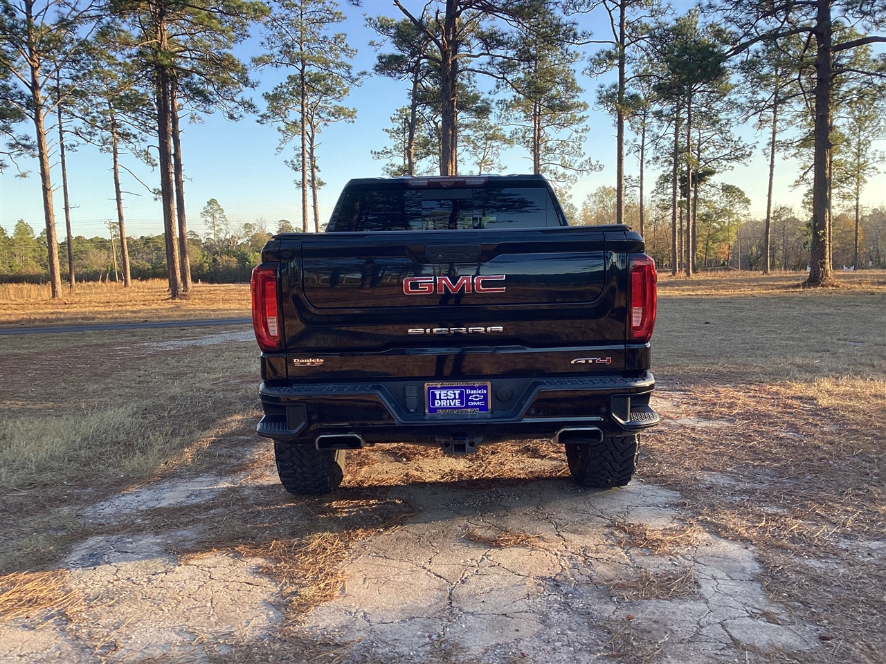 GMC Sierra 1500 4WD Crew Cab 147" AT4 2020