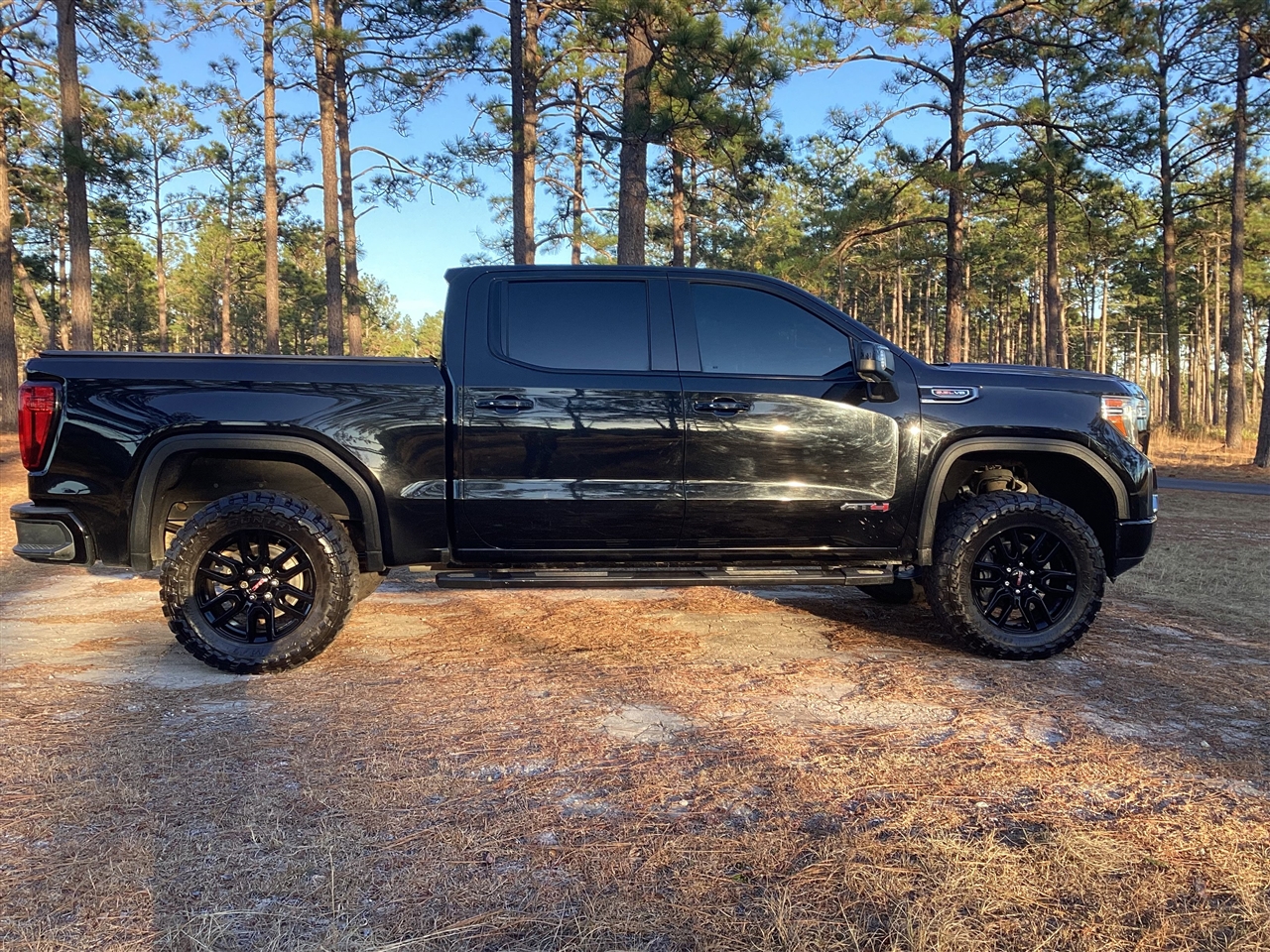 GMC Sierra 1500 4WD Crew Cab 147" AT4 2020