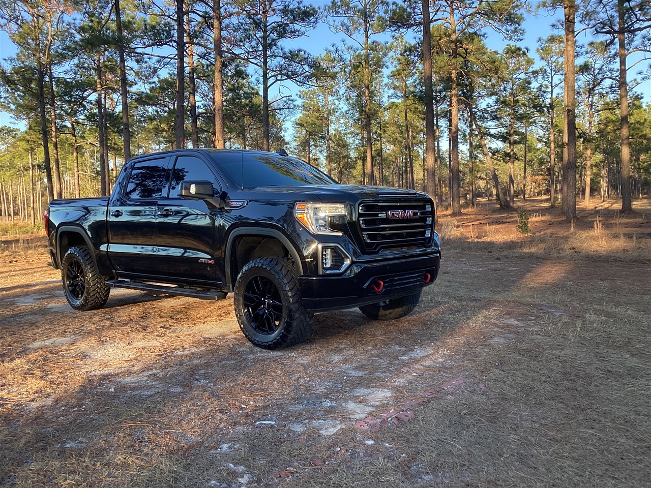 GMC Sierra 1500 4WD Crew Cab 147" AT4 2020